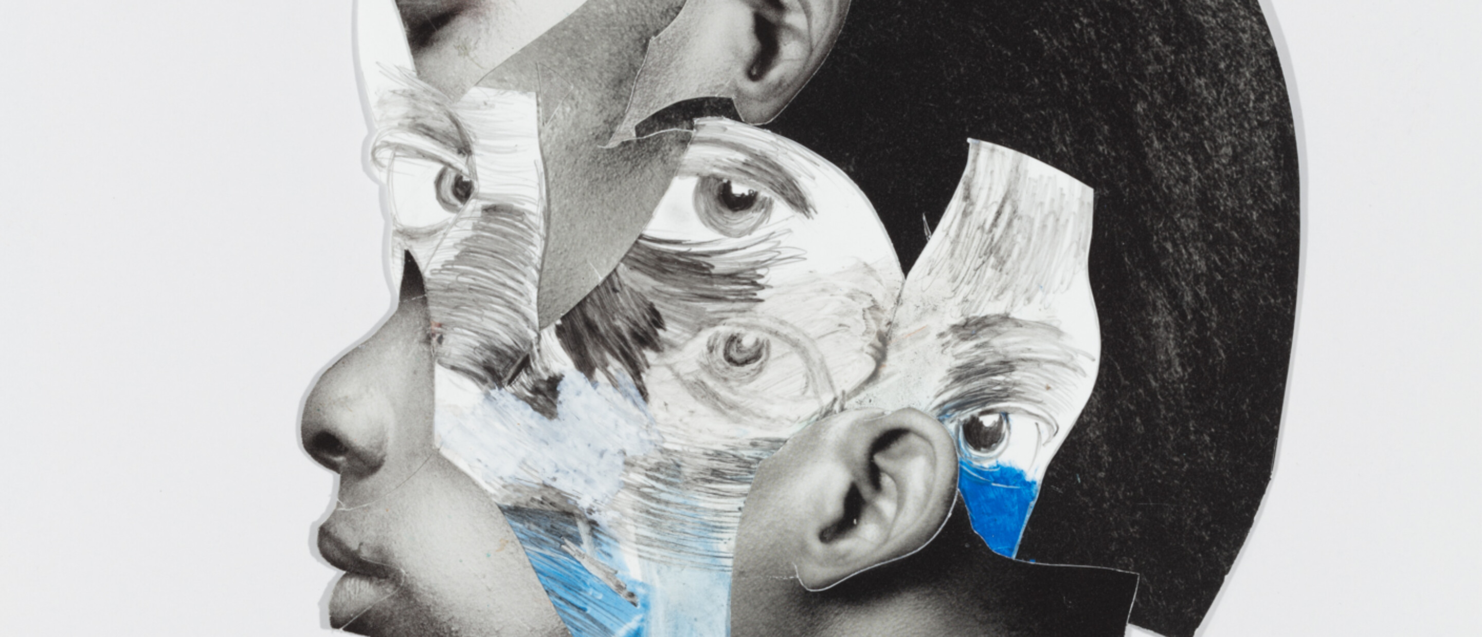 Portrait collage