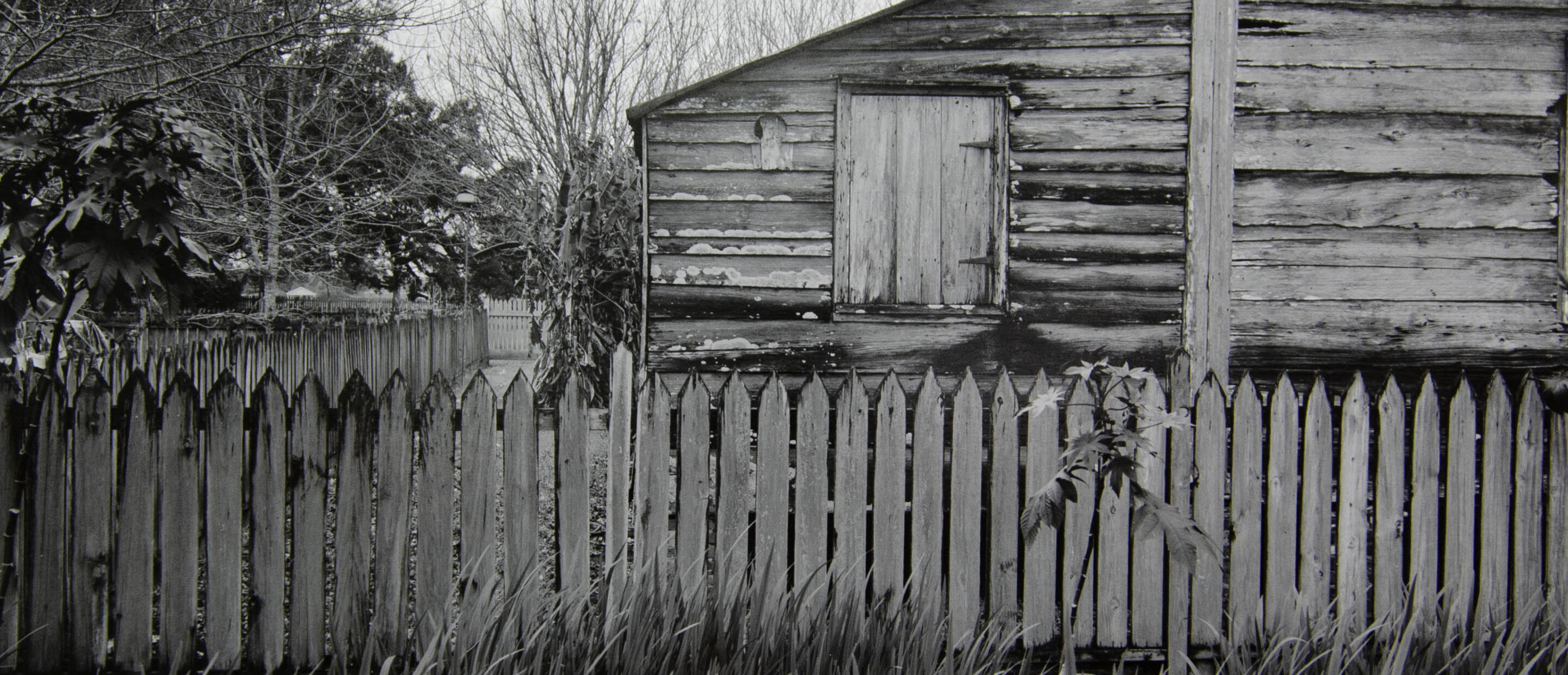 Picket Fence, Tree, and Cabin