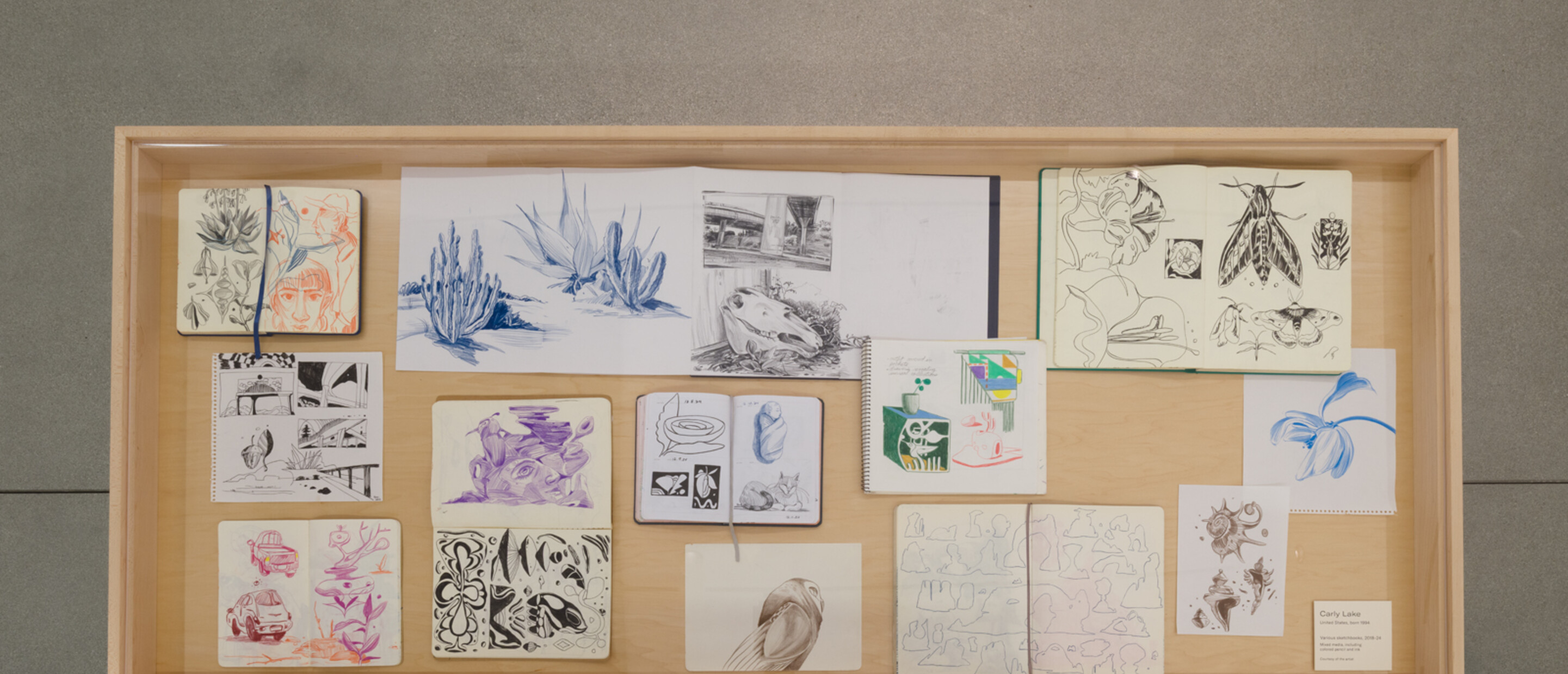 Drawings