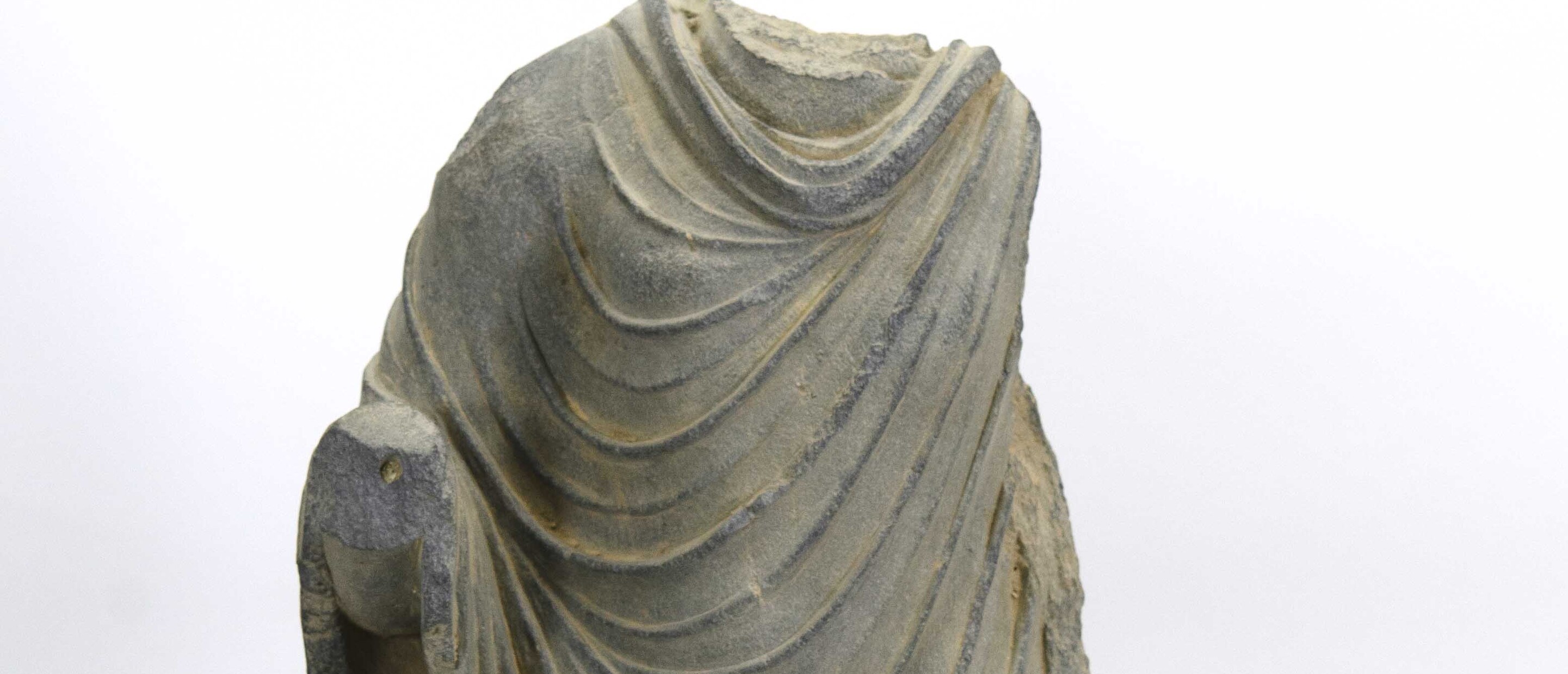 torso