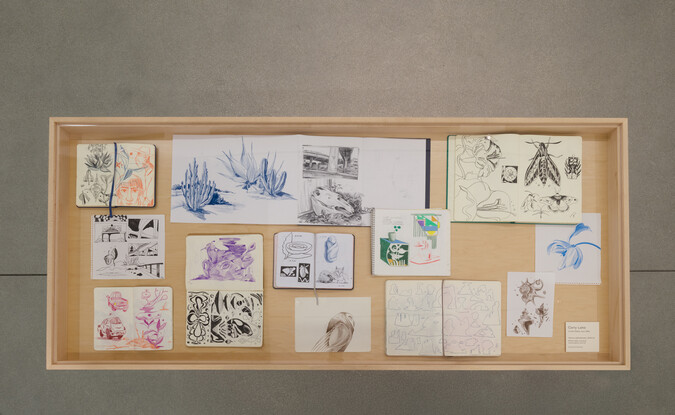 Drawings