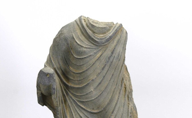 torso
