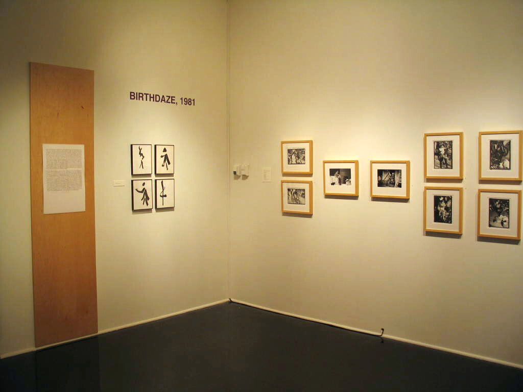 Installation view at Pomona College Museum of Art. View 5.
