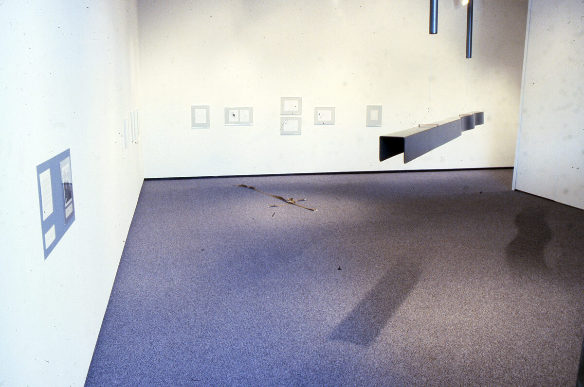 Installation view at Pomona College Museum of Art. 3