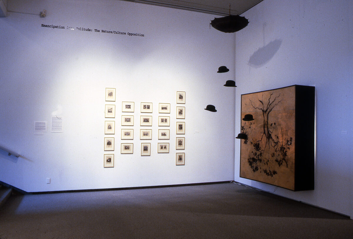 Installation view at Pomona College Museum of Art. 2