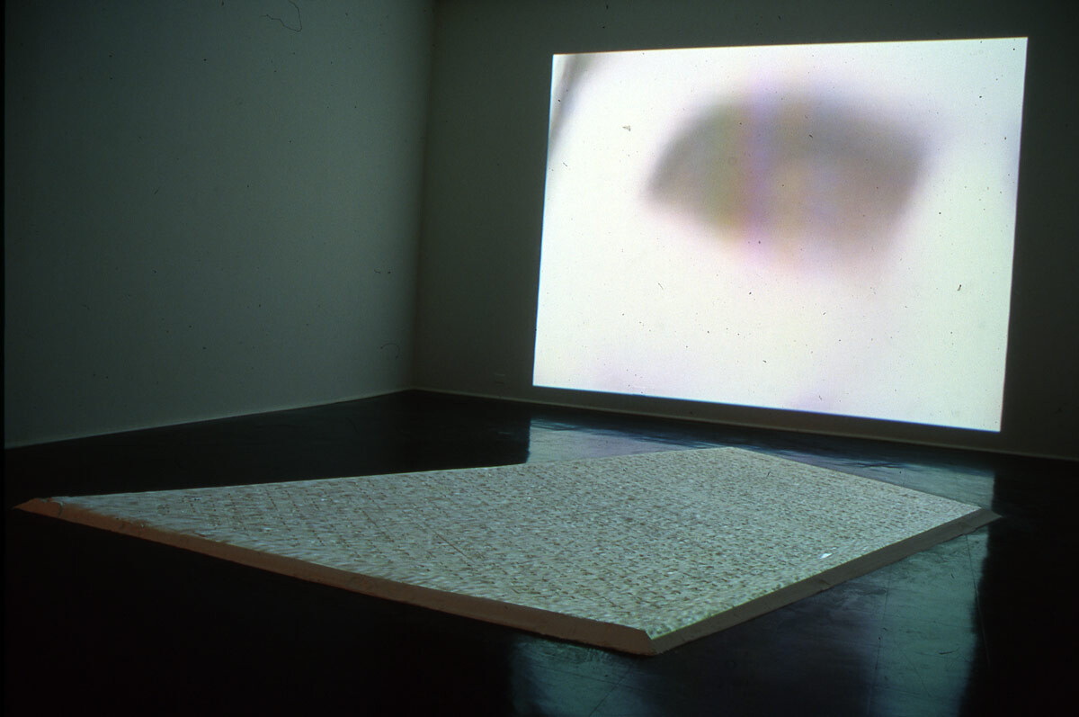 Installation view at Pomona College Museum of Art. 2