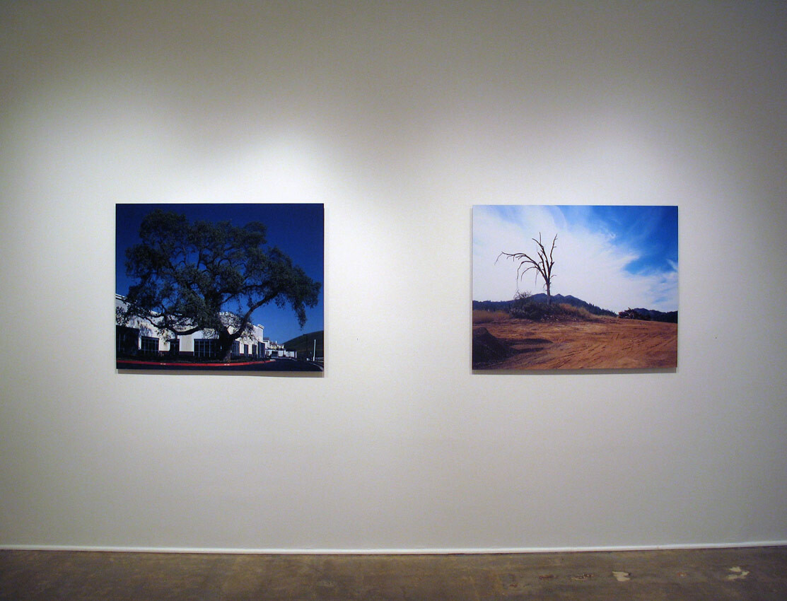 Installation view at Pomona College Museum of Art. View 1.