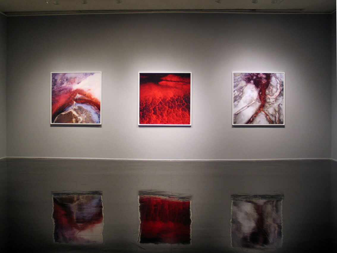 Installation view at Pomona College Museum of Art. View 1.