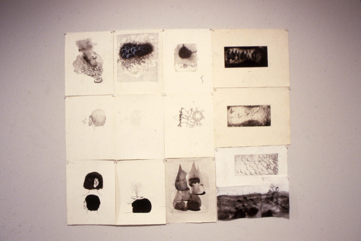 Installation view at Pomona College Museum of Art. 2