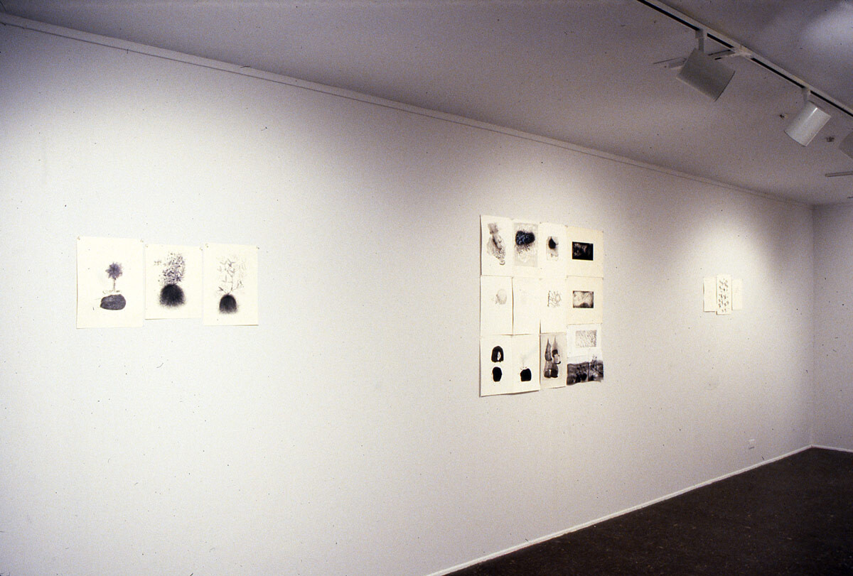 Installation view at Pomona College Museum of Art. 1