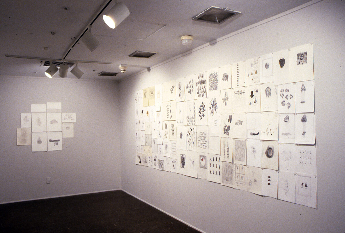 Installation view at Pomona College Museum of Art. 3