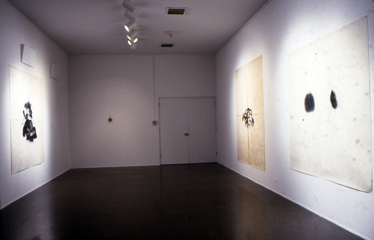 Installation view at Pomona College Museum of Art. 4