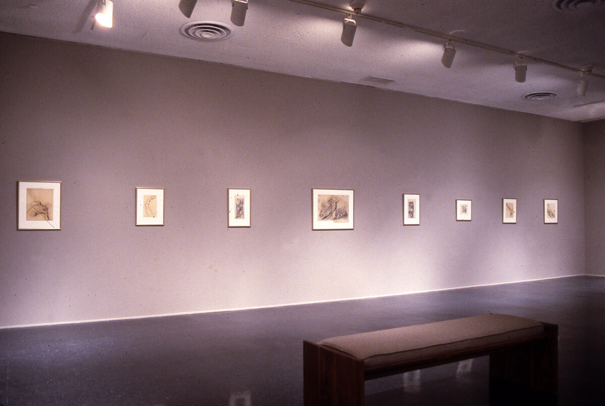 Installation view at Pomona College Museum of Art. 1