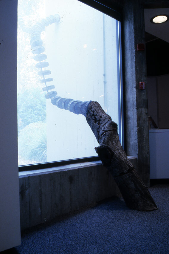 Installation view at Pomona College Museum of Art. 4