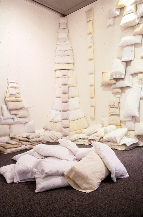 Installation view at Pomona College Museum of Art. 5