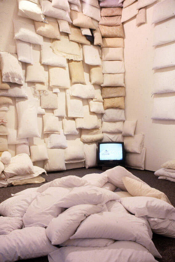 Installation view at Pomona College Museum of Art. 6