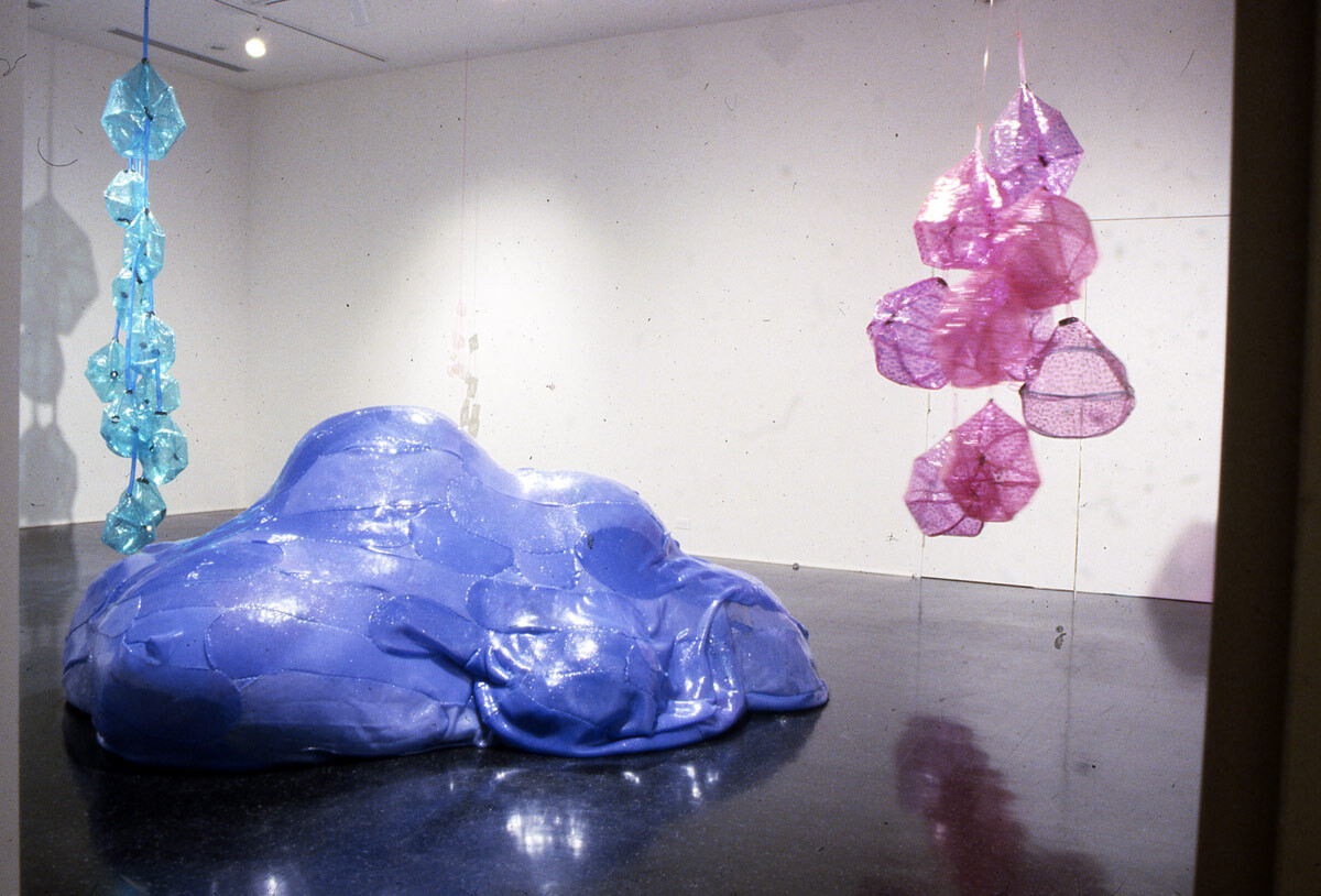 Installation view at Pomona College Museum of Art.