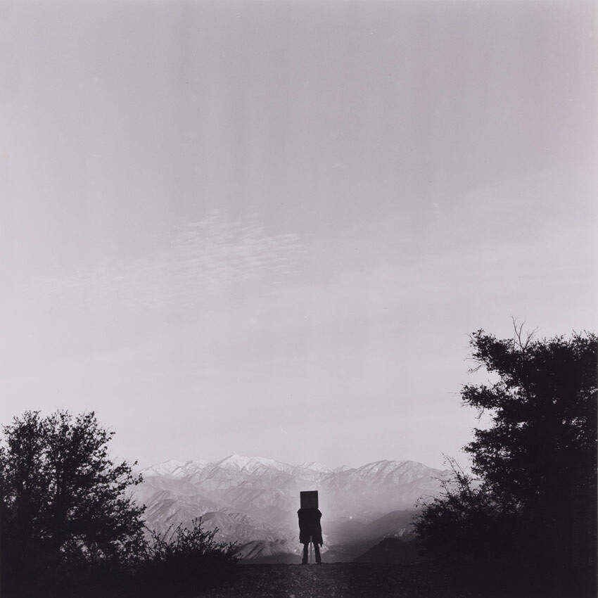 William Wegman, Basic Shapes in Nature: Square (Variant), 1970. Gelatin silver print. 14 x 11 in. (35.5 x 28 cm). Collection of the artist. © William Wegman. Photograph courtesy of William Wegman.