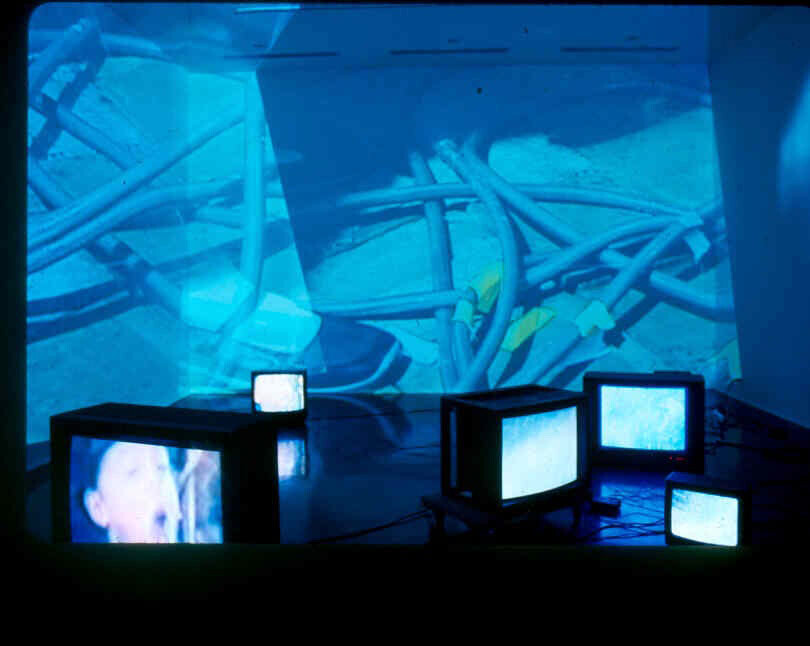 Installation view at Pomona College Museum of Art. 1