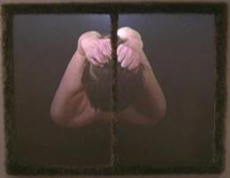 Denise Marika, Bisected III , 2002, Video Projection on steel an artificial fur, 47x54.5x3 in