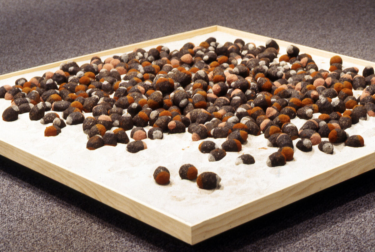 Installation view at Pomona College Museum of Art. 1