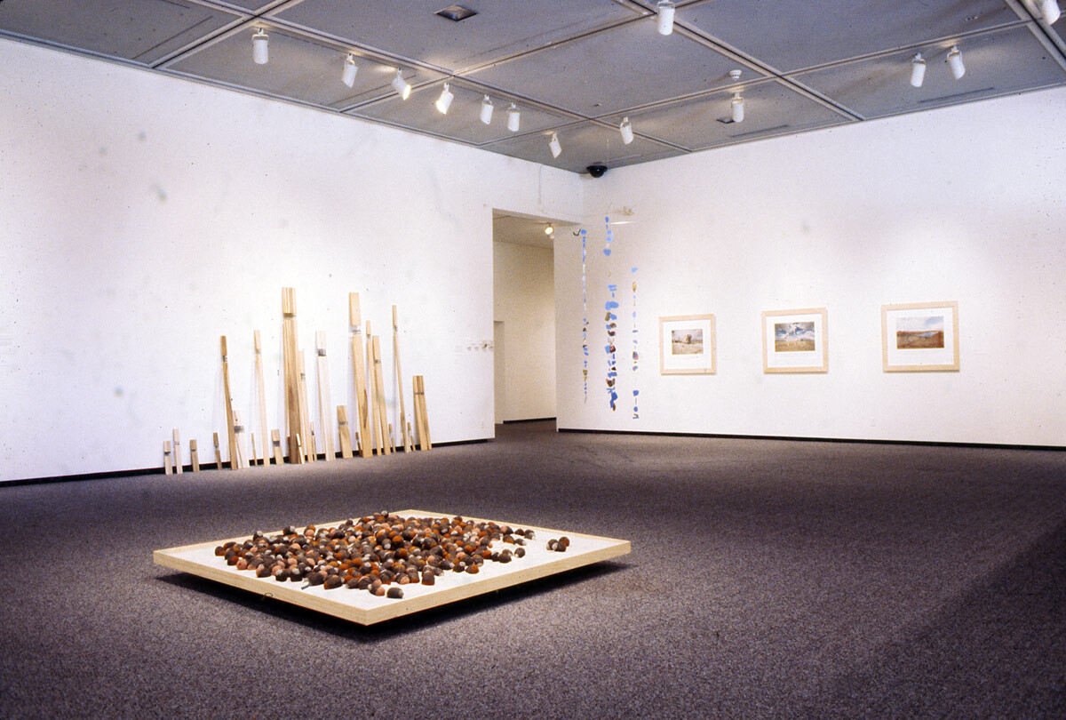 Installation view at Pomona College Museum of Art. 2