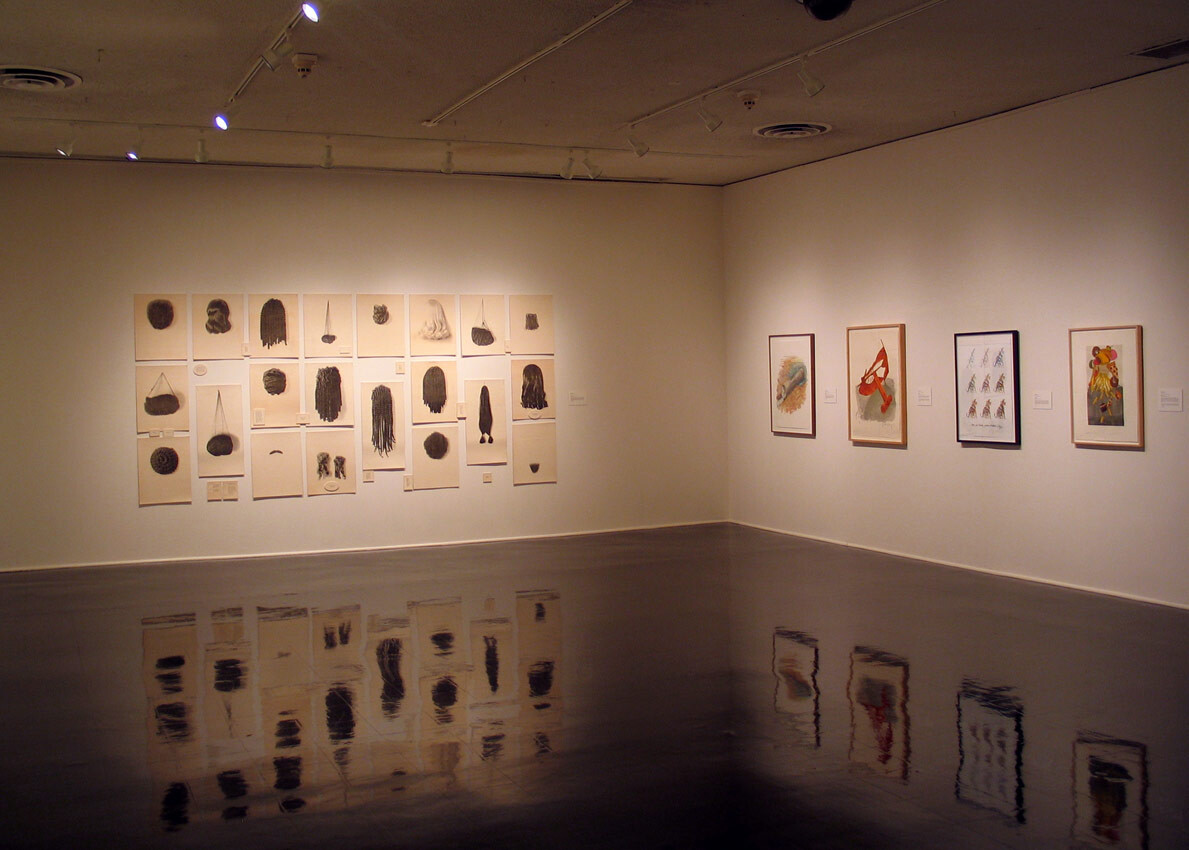 Installation view at Pomona College Museum of Art. View 2.
