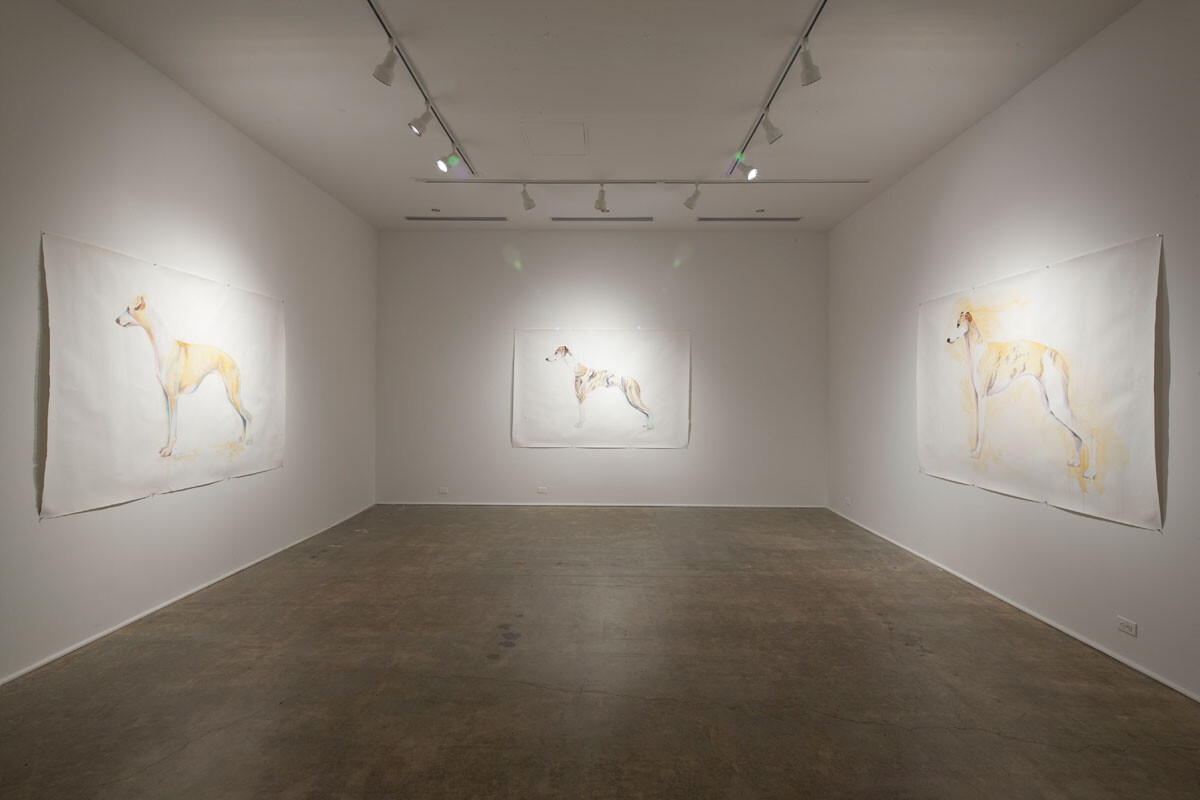 Installation view at the Pomona College Museum of Art. View 2.