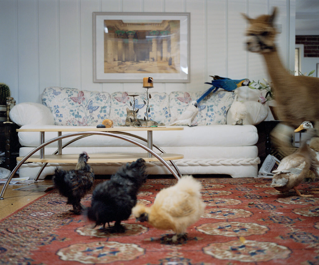 Corinna Schnitt, Once Upon A Time, 2005 (video stills)