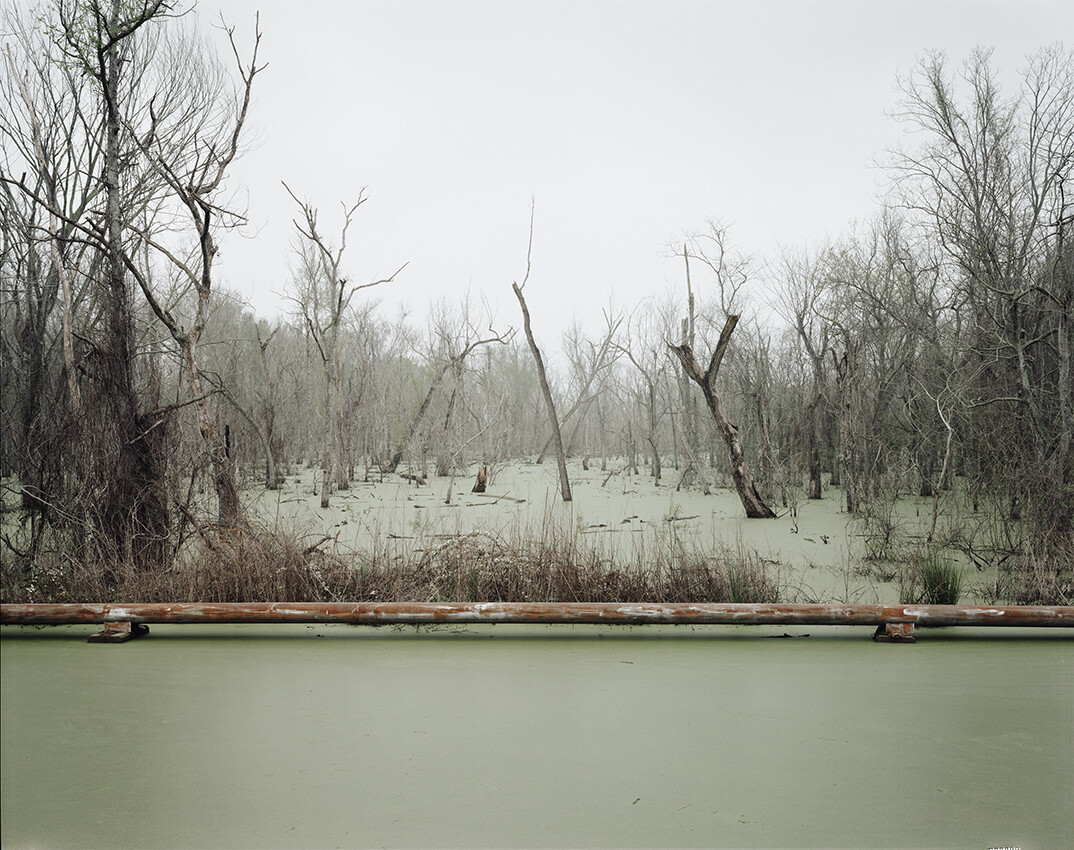 Richard Misrach, Swamp and Pipeline, Geismar, Louisiana, 1998, © Richard Misrach, courtesy of Pace/MacGill Gallery, New York; Fraenkel Gallery, San Francisco; and Marc Selwyn Gallery, Los Angeles