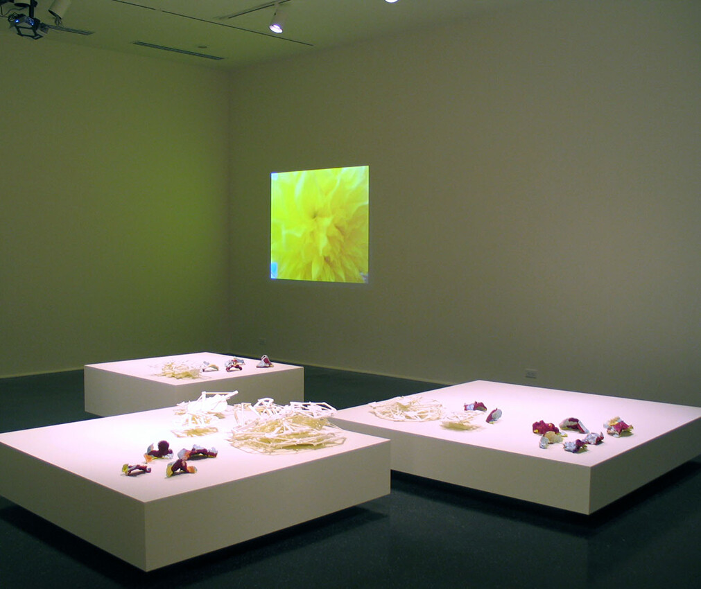 Installation view of Project Series 20: Pauline Stella Sanchez at the Pomona College Museum of Art