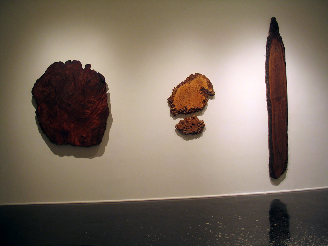 Installation view at Pomona College Museum of Art. View 3.