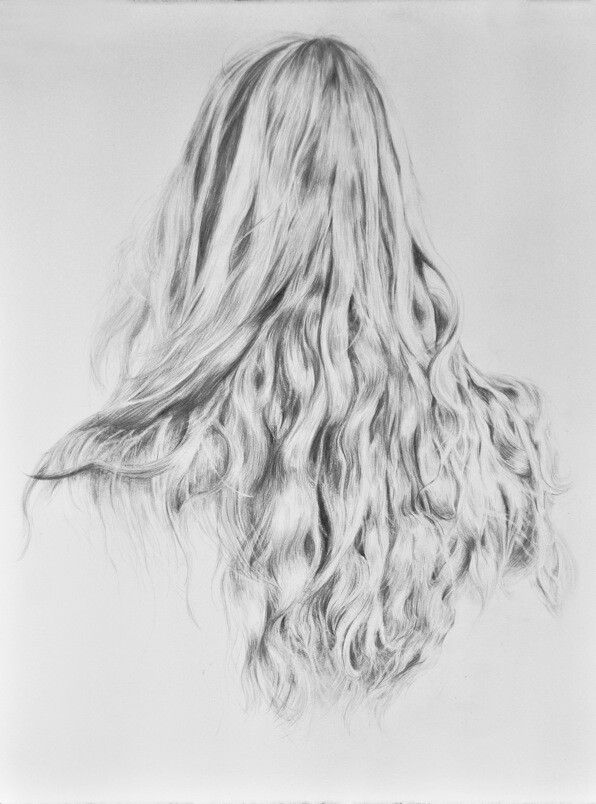 Jing Jin, Gill, 2014, pencil on paper, 19.5" x 25.5"