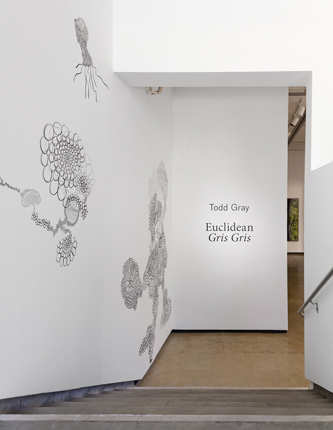 Entry way into exhibition with charcoal drawings