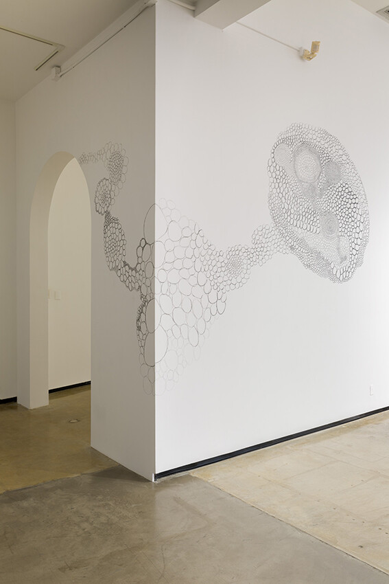 Installation view of exhibition with composite photographs mounted on walls