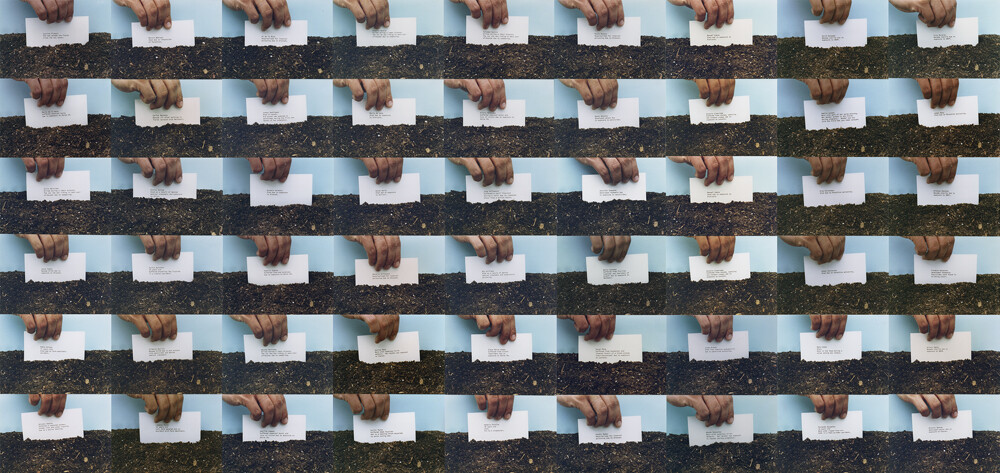 repetition of the same image creating a pattern