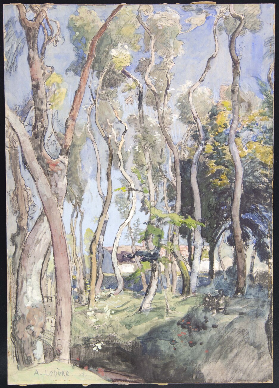 wavy trees in color