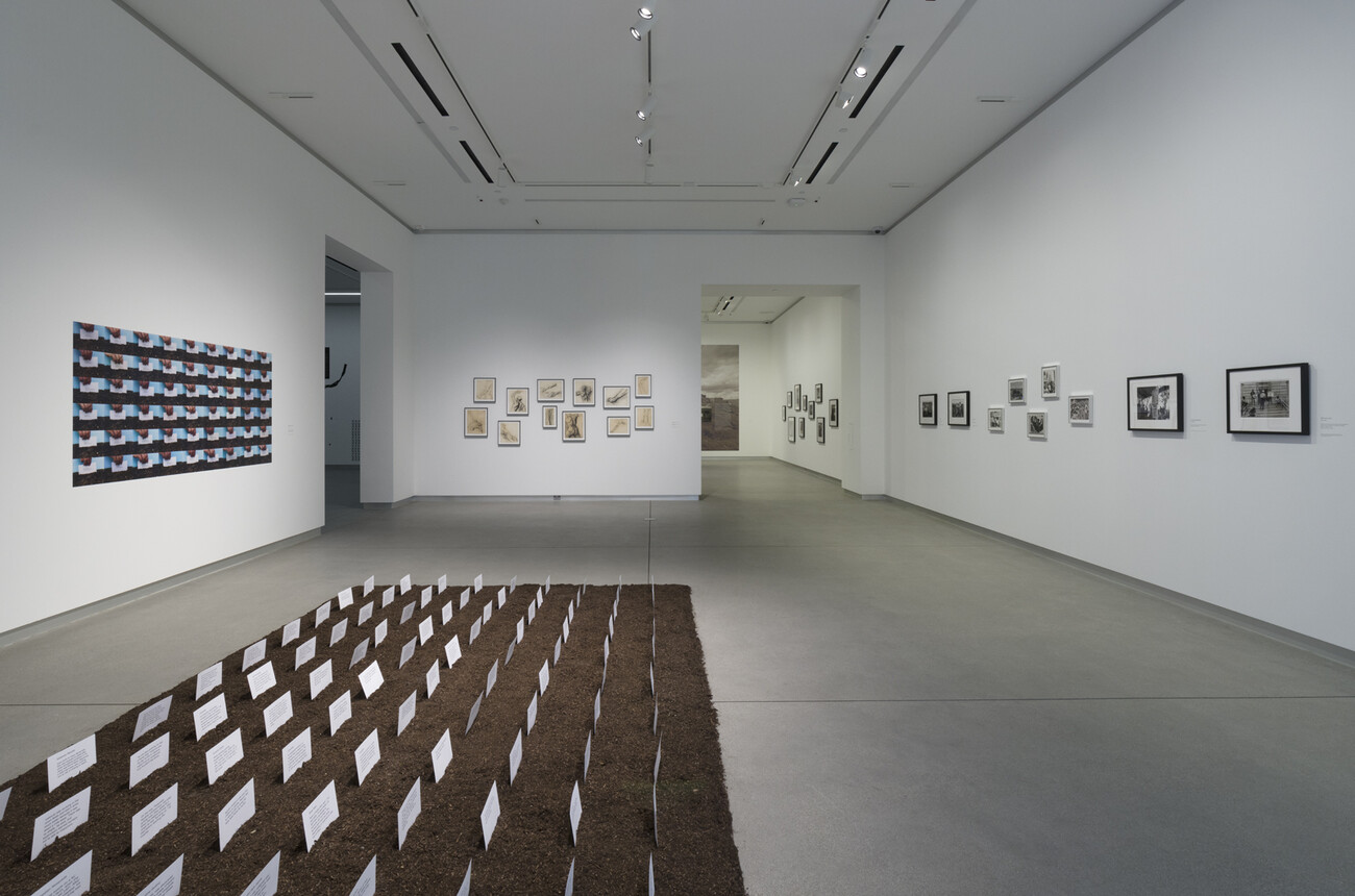 room with photographs on walls and dirt installation in the foreground