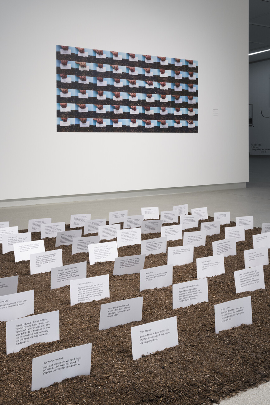 dirt with white cards in foreground. large photograph with rectangular repeating background in background