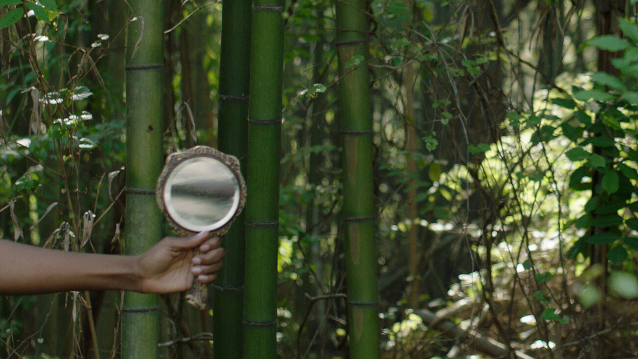 bamboo forest background with hand holding a small mirror