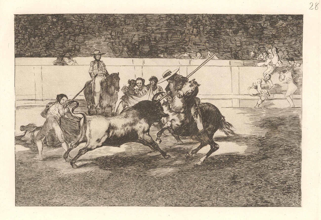 etching of bull fighting