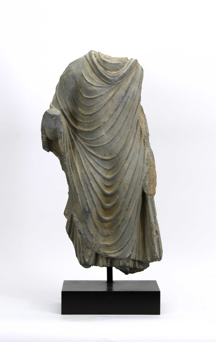 torso