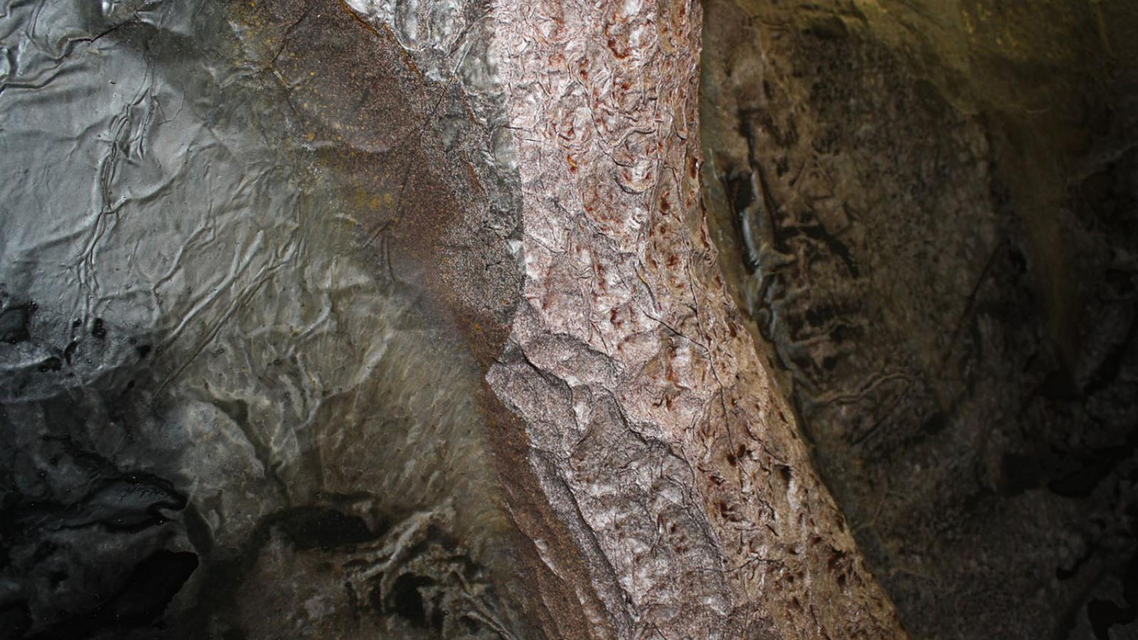 Sandeep Mukherjee, Writing on Tree Skin, 2018