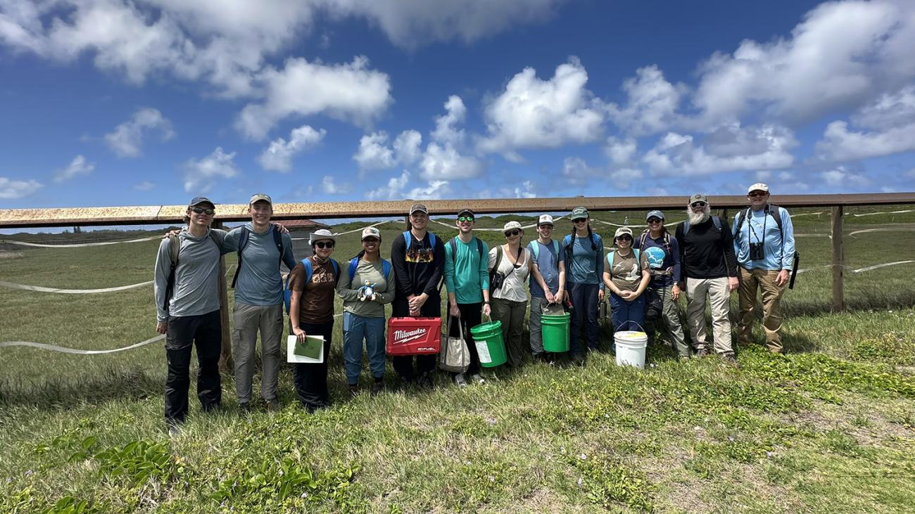 Students doing conservation work in Hawaii