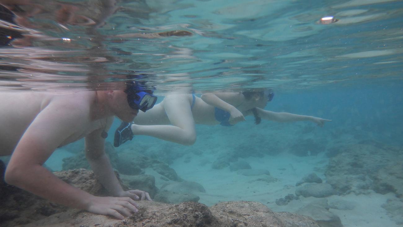 students snorkeling in Hawaii