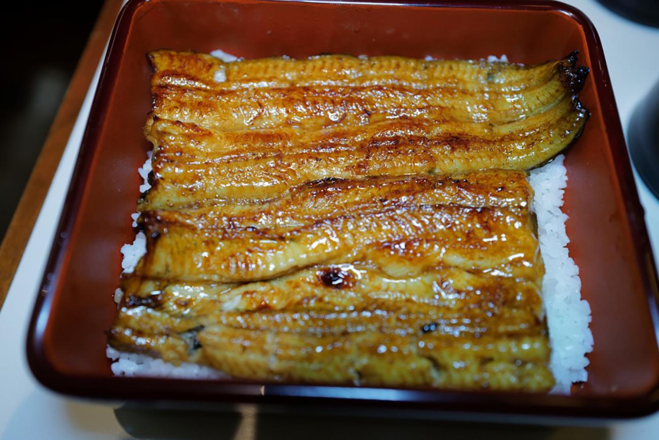 Unagi (eel)