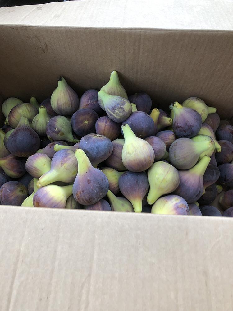 Box of fruit