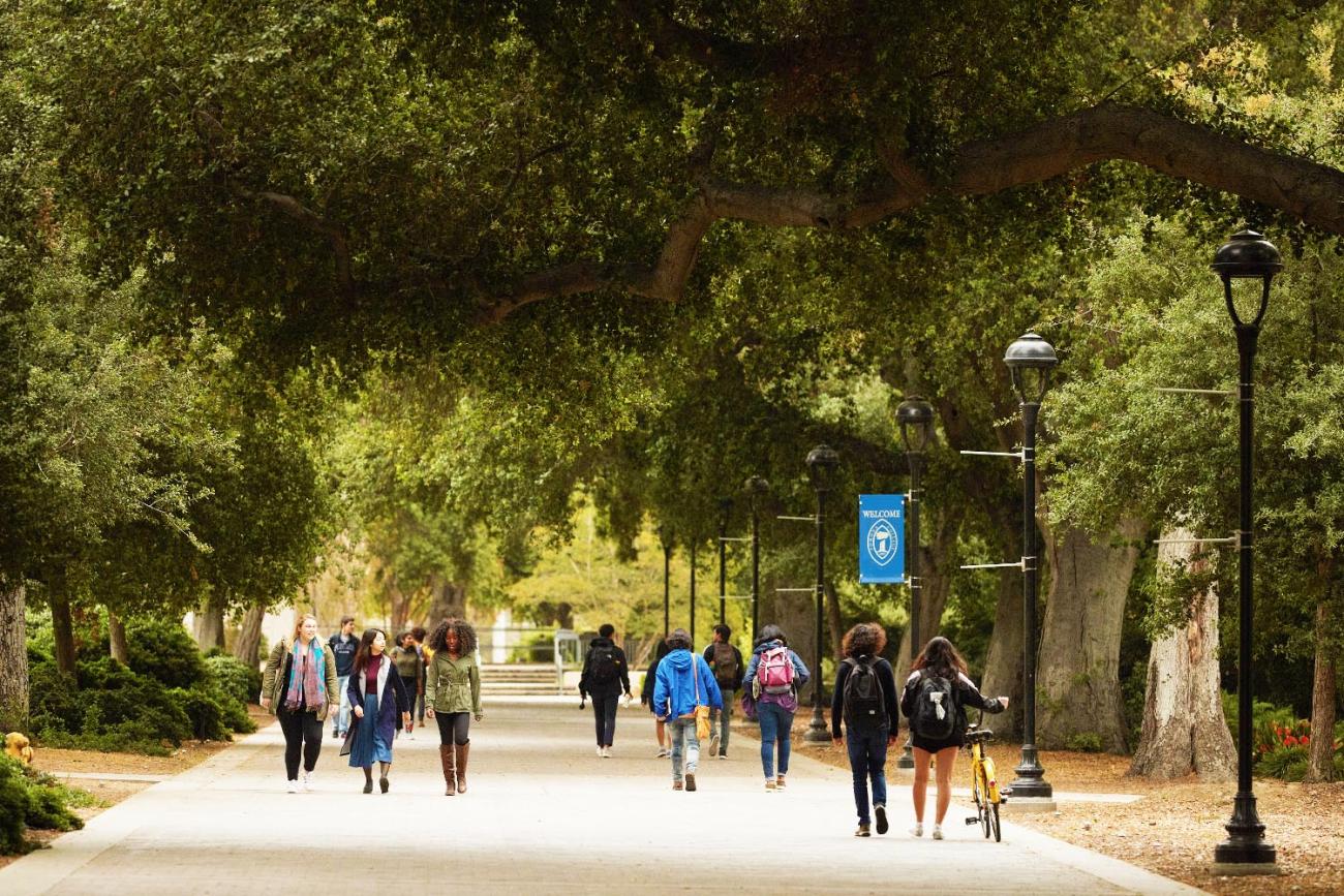 Campus scene of students walking down a path