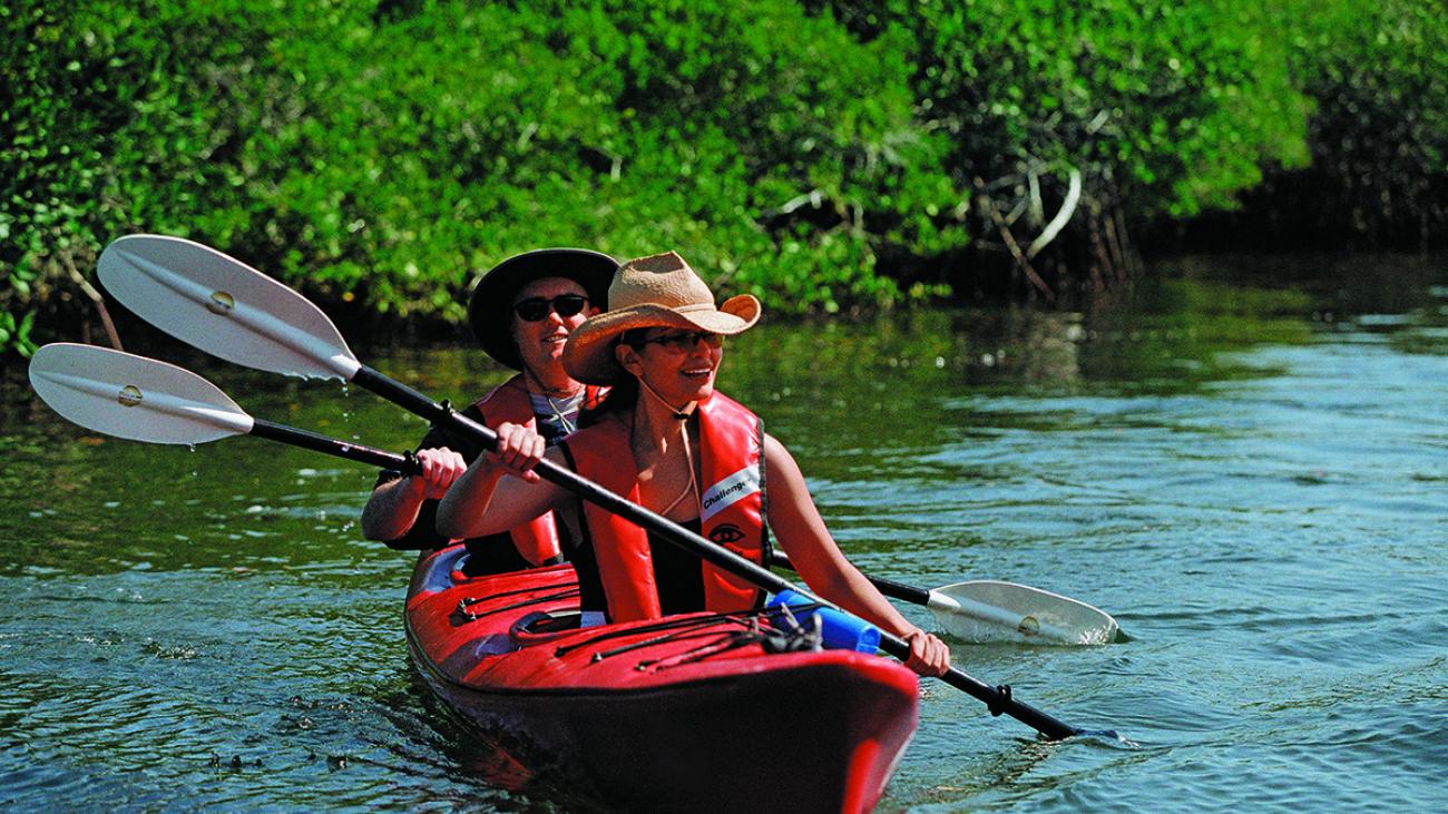 Photo of 2 kayakers 